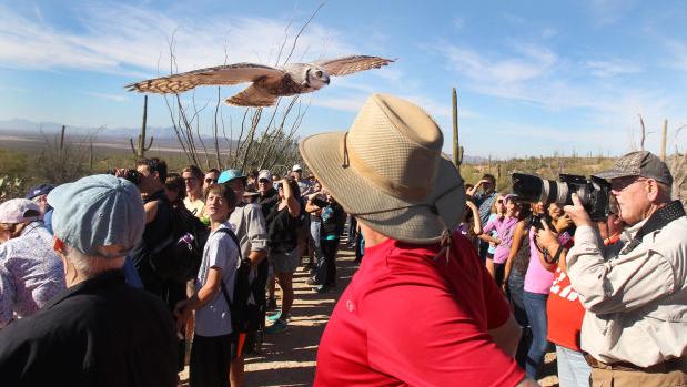 Tucson's desert museum is a finalist on USA Today's Best Zoo list